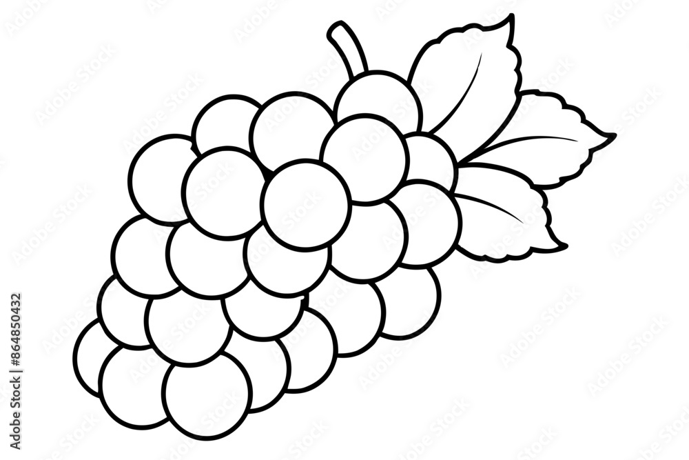 Grapes line art vector, Bunch of grapes with leaf, line art of grapes Grapes line art vector, Bunch of grapes with leaf, line art of grapes