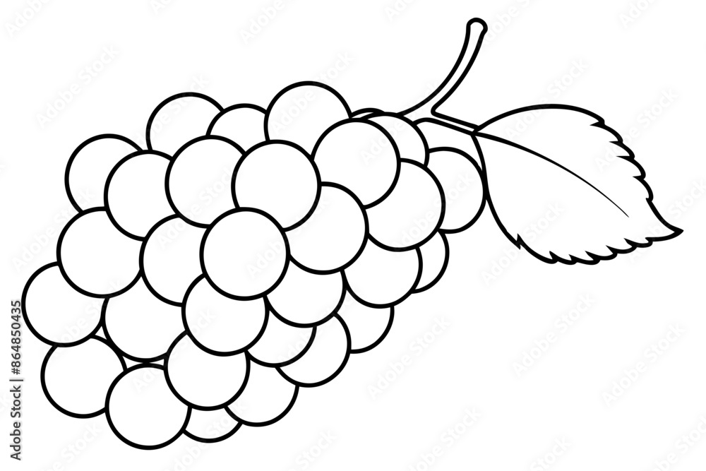 Grapes line art vector, Bunch of grapes with leaf, line art of grapes Grapes line art vector, Bunch of grapes with leaf, line art of grapes