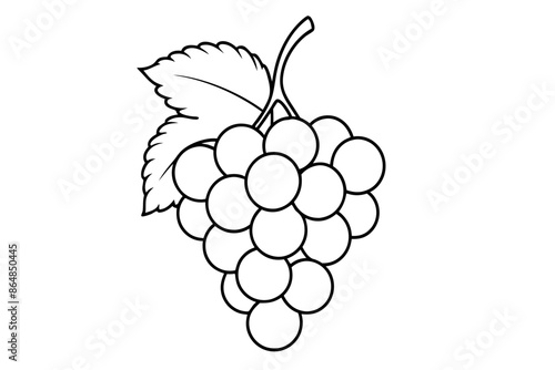 Grapes line art vector, Bunch of grapes with leaf, line art of grapes