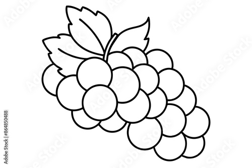 Grapes line art vector, Bunch of grapes with leaf, line art of grapes