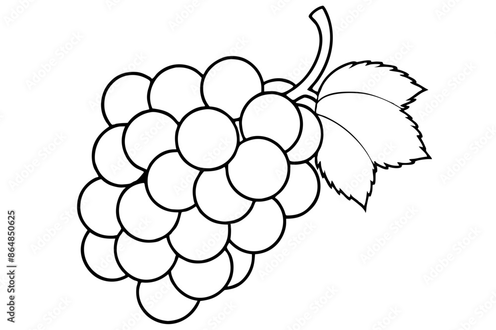 Grapes line art vector, Bunch of grapes with leaf, line art of grapes Grapes line art vector, Bunch of grapes with leaf, line art of grapes