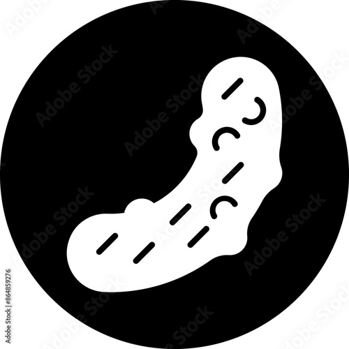 Pickle Icon Style
