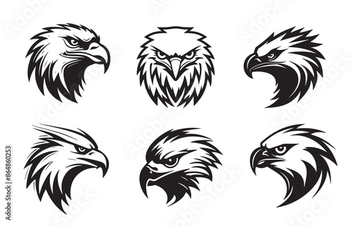 Stylized eagle head emblem illustration for your design