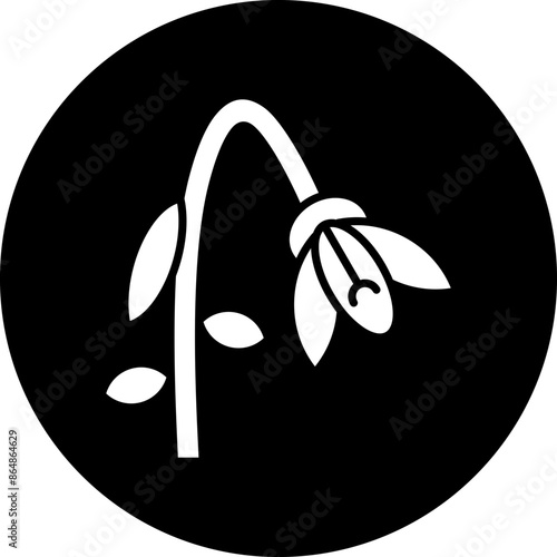 Snowdrop Icon Style