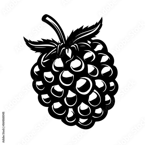 Blackberry Vector Logo