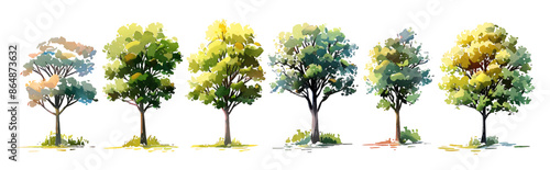 Minimal style tree painting hand drawn, tree watercolor silhouettes shadow illustration, set of graphics trees elements drawing for architecture and landscape design