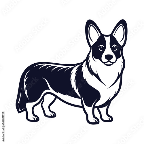 Welsh corgi cardigan dog Vector Illustration