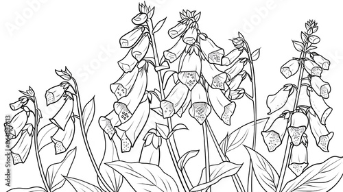 Cartoon foxglove flower, outlined for coloring, on a white background.