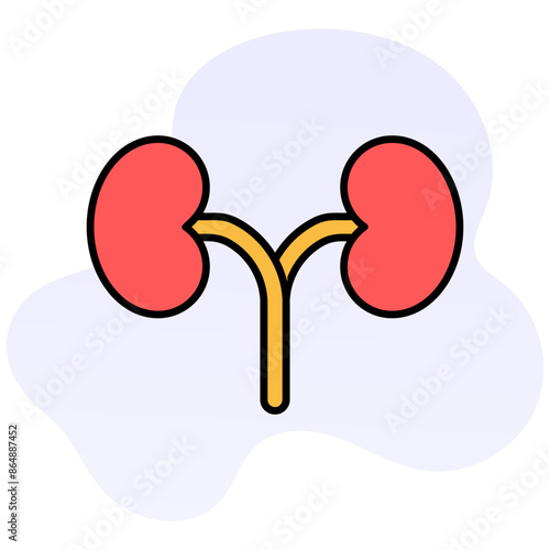 Kidney