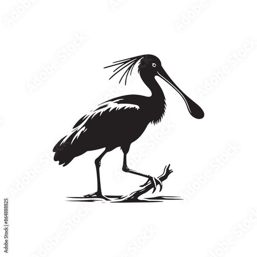 Spoonbill Bird Silhouette - Bird Vector - Spoonbill Bird 
Illustration.