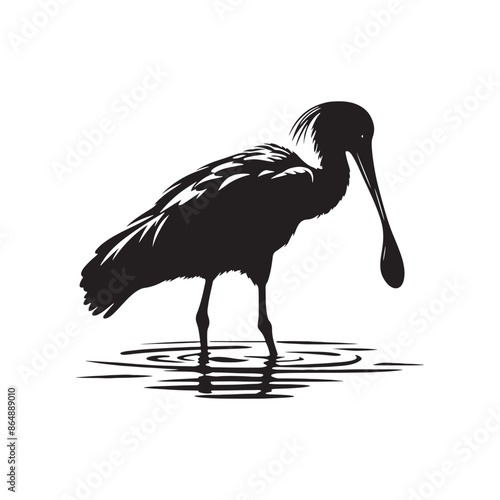 Spoonbill Bird Silhouette - Bird Vector - Spoonbill Bird 
Illustration.