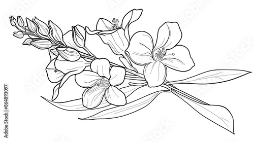 Cartoon larkspur flower, outlined for coloring, on a white background.