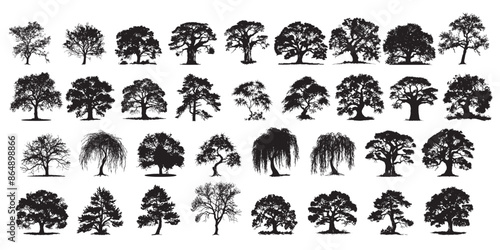 Diverse Tree Silhouette Collection, vector illustration