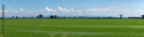Obraz na płótnie Po Valley w salonie