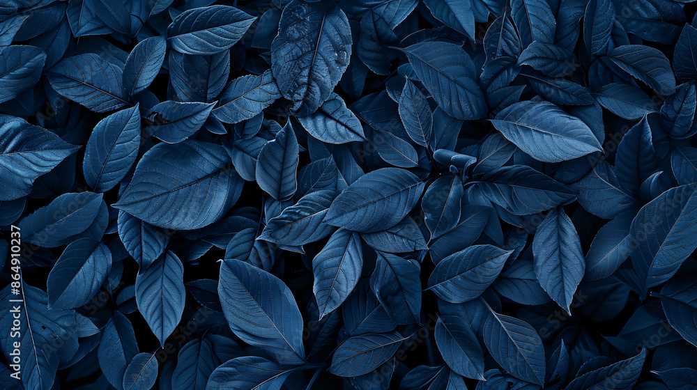 Fototapeta premium leaves background, blue color, high resolution, ultra realistic photography