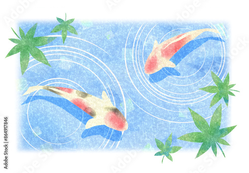 夏イメージの錦鯉とモミジのイラスト