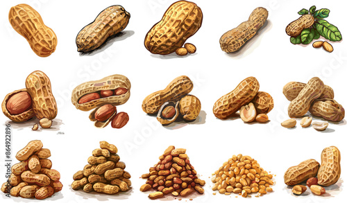 VEGETABLES SET IN COLOR STYLE, PEANUT SET IN COLOR STYLE