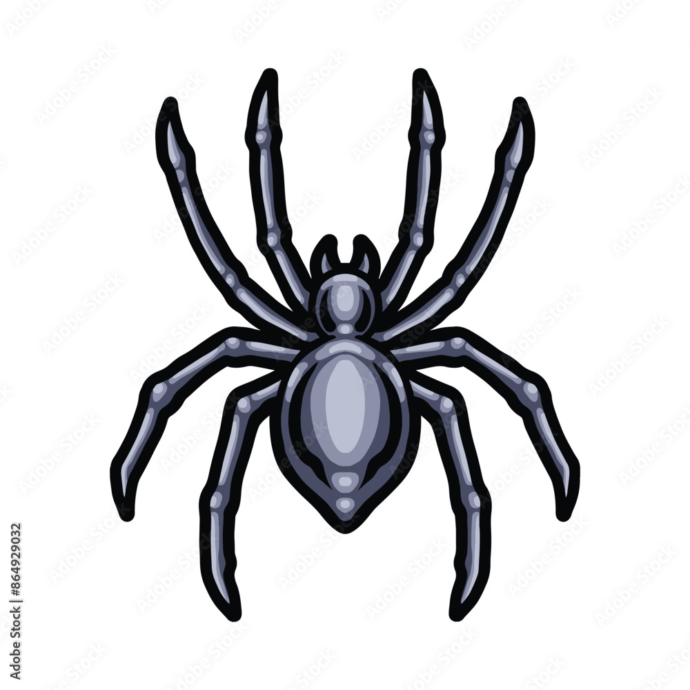 spider vector illustration on white background spider vector illustration on white background