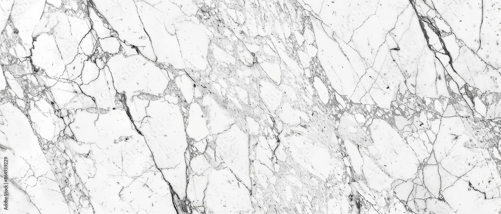 Panoramic close-up, high detail scan of Bianco Venatino marble material, Generative AI Panoramic close-up, high detail scan of Bianco Venatino marble material, Generative AI