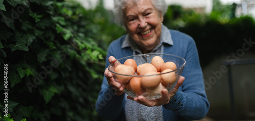 Elderly woman holding bowl full of farm fresh eggs. Happy old farmer is delighted collected homegrown eggs. Banner with copy space.