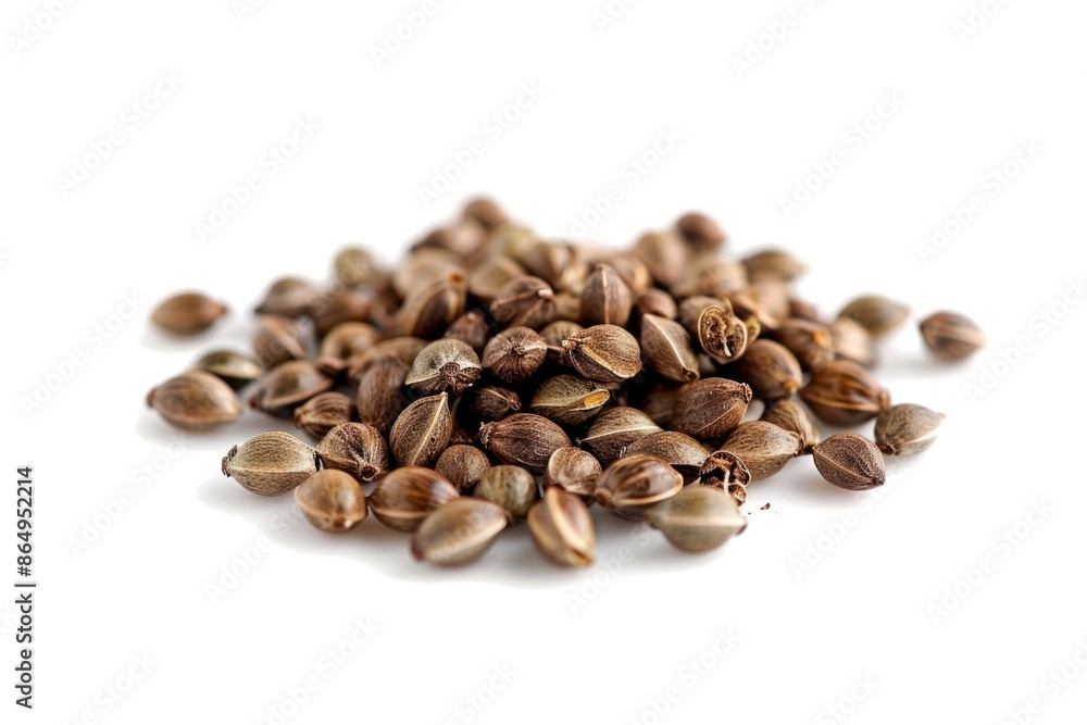 A pile of seeds on a white surface A pile of seeds on a white surface