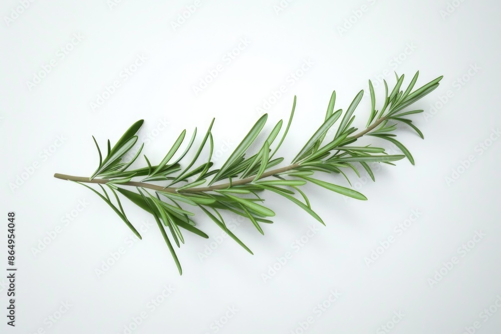 Fototapeta premium A small sprig of rosemary placed on a clean white surface