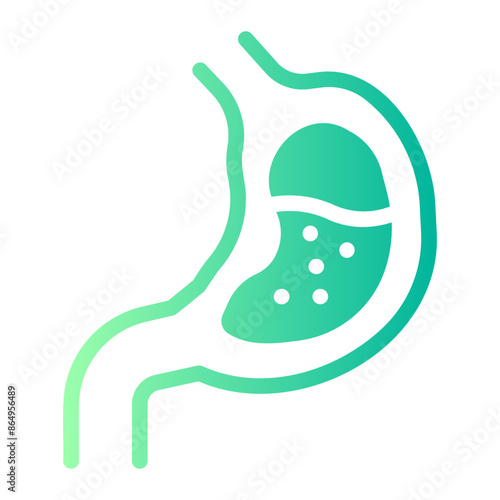 stomach