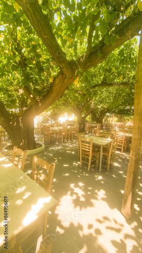 skyros or skiros, island restaurant under  mulberries shandow greece photo