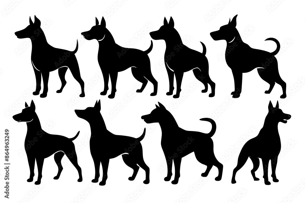 isolated black silhouette of a dog collection, Set of dog silhouette vector. Dogs and puppies in different breed, corgi, golden retriever, poses, sitting, standing, jump isolated black silhouette of a dog collection, Set of dog silhouette vector. Dogs and puppies in different breed, corgi, golden retriever, poses, sitting, standing, jump