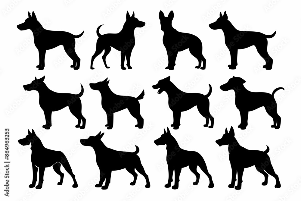 isolated black silhouette of a dog collection, Set of dog silhouette vector. Dogs and puppies in different breed, corgi, golden retriever, poses, sitting, standing, jump isolated black silhouette of a dog collection, Set of dog silhouette vector. Dogs and puppies in different breed, corgi, golden retriever, poses, sitting, standing, jump