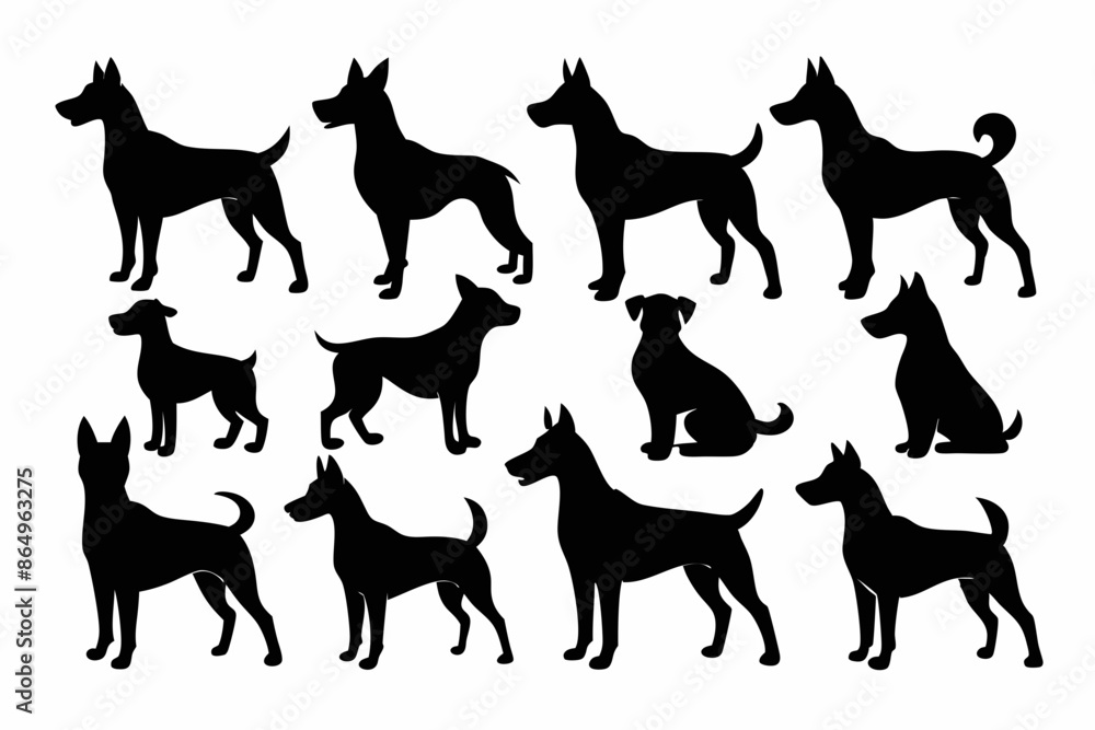 isolated black silhouette of a dog collection, Set of dog silhouette vector. Dogs and puppies in different breed, corgi, golden retriever, poses, sitting, standing, jump isolated black silhouette of a dog collection, Set of dog silhouette vector. Dogs and puppies in different breed, corgi, golden retriever, poses, sitting, standing, jump