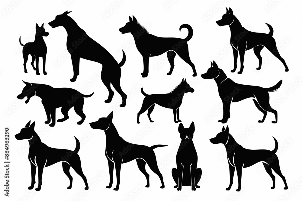 isolated black silhouette of a dog collection, Set of dog silhouette vector. Dogs and puppies in different breed, corgi, golden retriever, poses, sitting, standing, jump isolated black silhouette of a dog collection, Set of dog silhouette vector. Dogs and puppies in different breed, corgi, golden retriever, poses, sitting, standing, jump