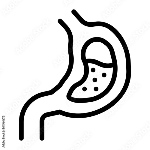 stomach