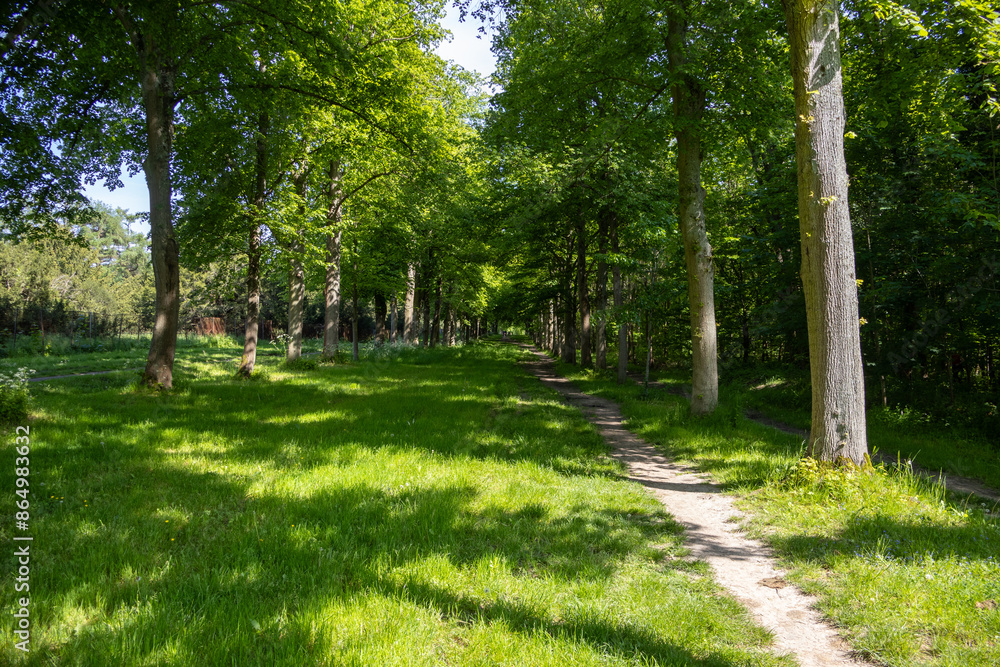 footpath in the park footpath in the park