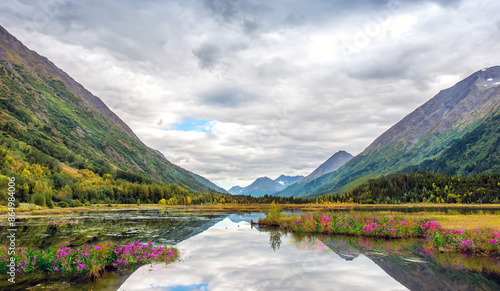 Alaska Landscape of a lake in the Chugach Mountains with wild flowers blooming and lake reflections.