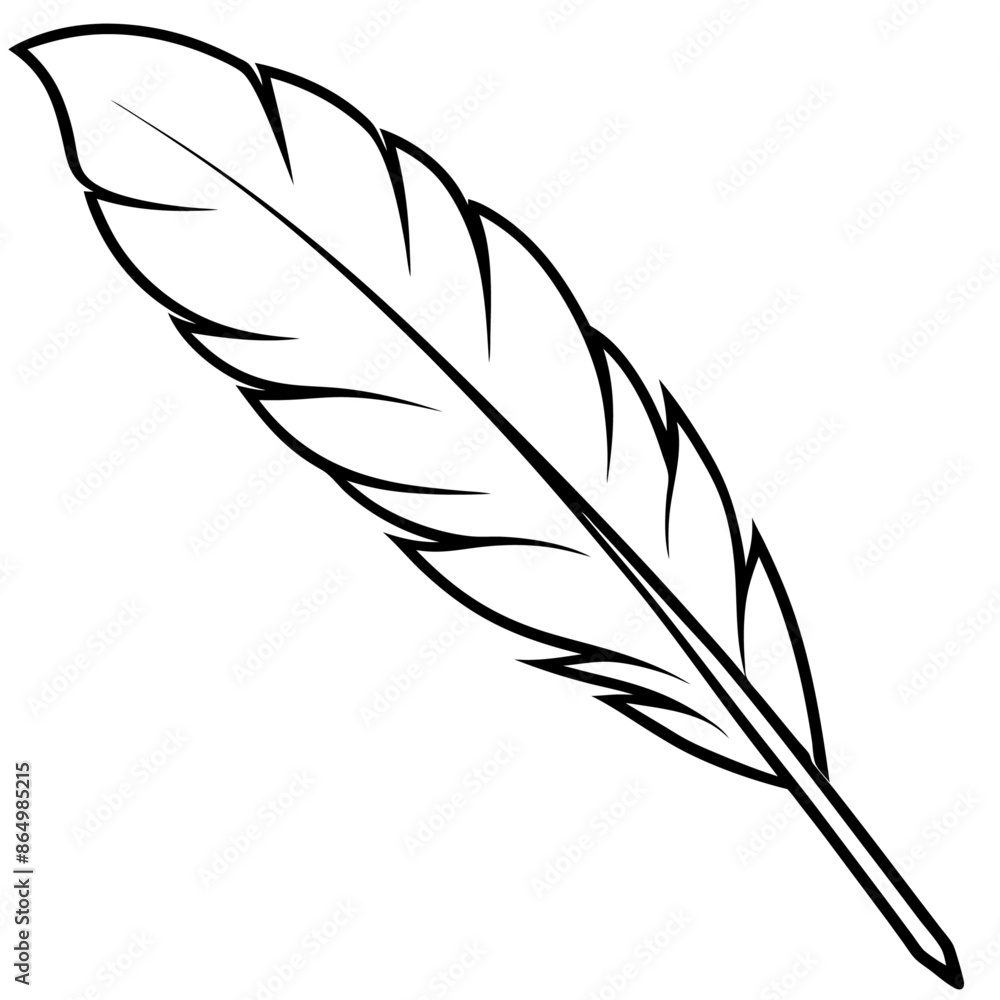 Obraz premium feather outline coloring book page line art illustration digital drawing