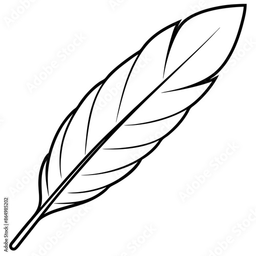 feather outline coloring book page line art illustration digital drawing
