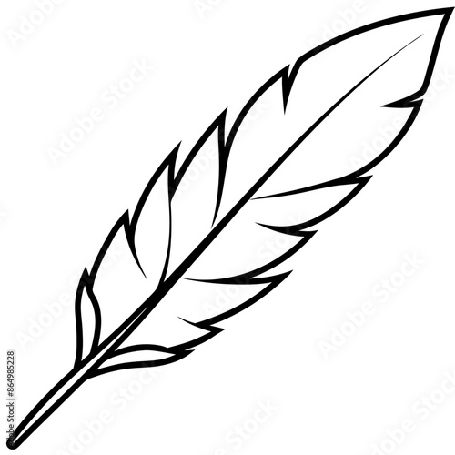 feather outline coloring book page line art illustration digital drawing