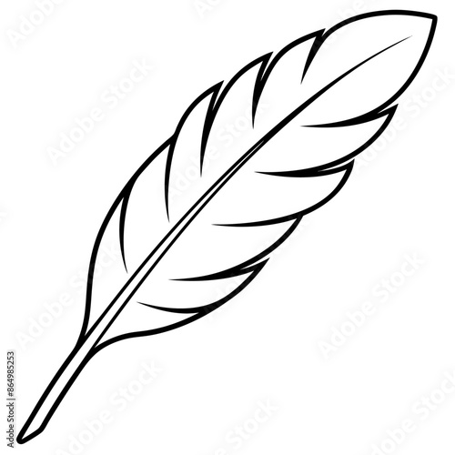 feather outline coloring book page line art illustration digital drawing