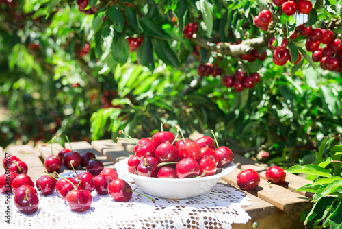 White bowl filled with ripe cherries on the table