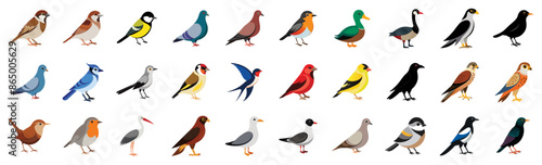 Collection of city birds icons, vector cartoon illustration. Features sparrow, pigeon, robin, black crow, blue jay, goldfinch, mockingbird, owl.