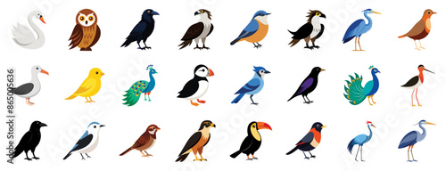 Collection of various bird species icons, vector cartoon illustration. Features swan, owl, raven, peacock, falcon, toucan, puffin.