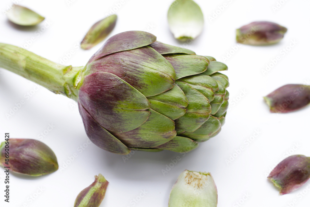 Obraz premium Purple artichoke on white background.