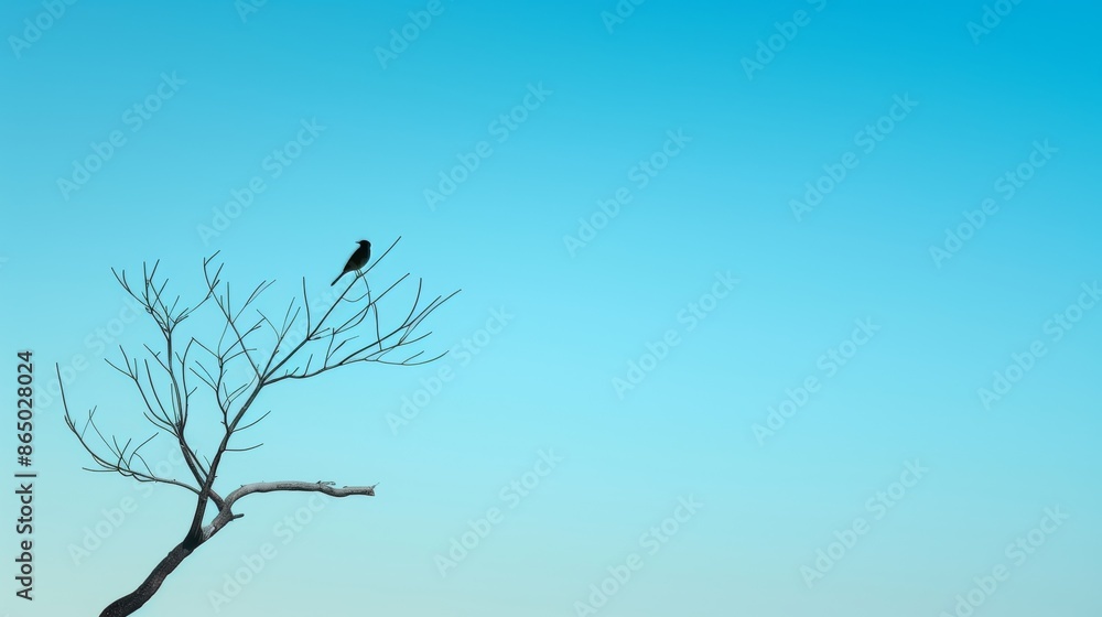 solitary bird perched on a bare tree branch against a clear blue sky. solitary bird perched on a bare tree branch against a clear blue sky.