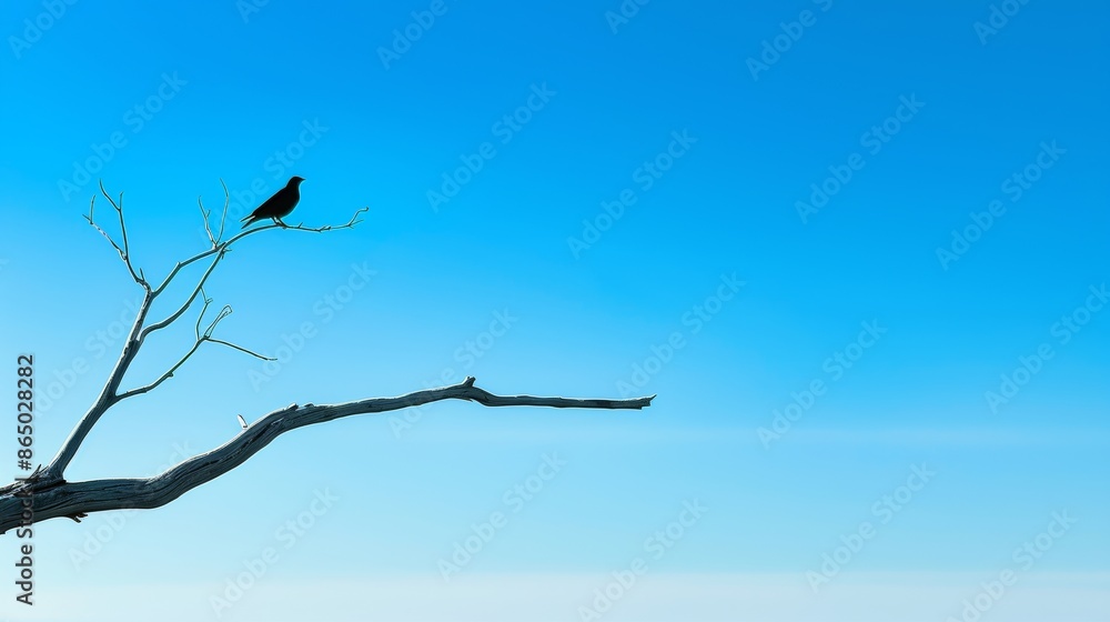 solitary bird perched on a bare tree branch against a clear blue sky. solitary bird perched on a bare tree branch against a clear blue sky.