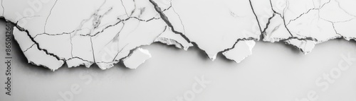 Minimalist black and white photo of cracked and torn edges, showcasing natural patterns and textures on a white background.