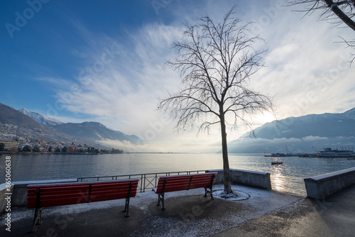 Waterfront to Lake Maggiore with Mountain and Tree and a Bench in Winter in Sunrise in Locarno, Ticino, Switzerland. photo