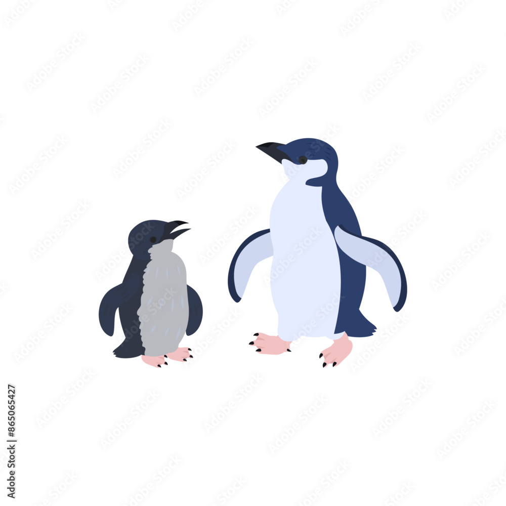 Naklejka premium コガタペンギン(リトルペンギン、フェアリーペンギン)の雛と成鳥。フラットなベクターイラスト。 Little penguin (fairy penguin, blue penguin) chick and adult. Flat vector illustration.