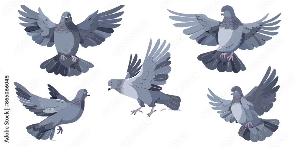 Obraz premium Cute gray pigeon in different poses, flat design style with simple shapes and solid colors, no shadows on white background.