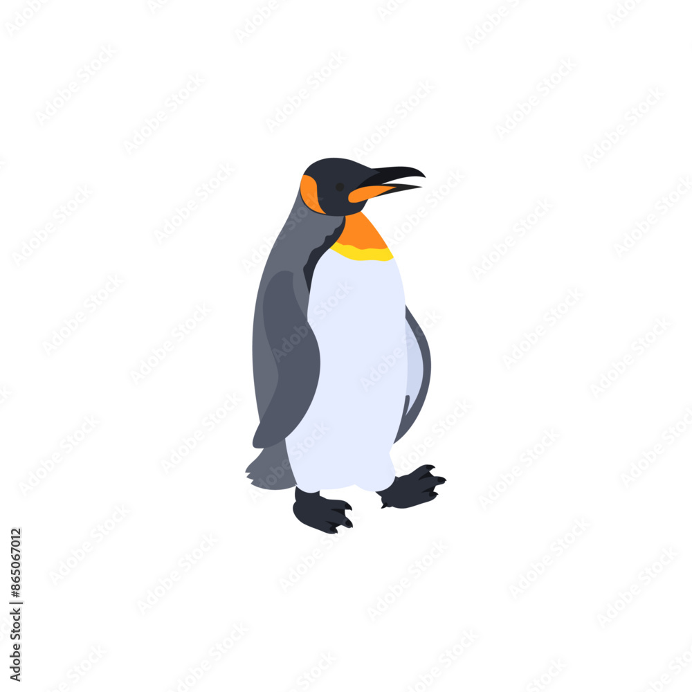 Fototapeta premium オウサマペンギン（キングペンギン）。フラットなベクターイラスト。 King penguin. Flat vector illustration.